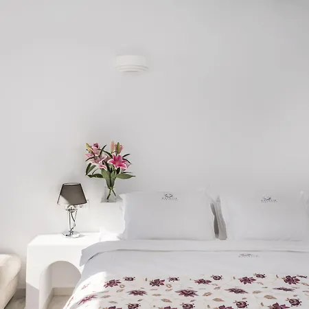 Otel Anteliz 4*